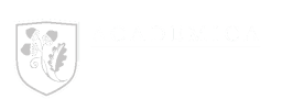 ACADEMICA